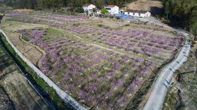 茶庵岭镇人口_白芒营镇五庵岭小奶(3)