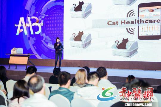 为猫咪设计的“智能厕所”。 主办方供图 为猫咪设计的“智能厕所”。 主办方供图