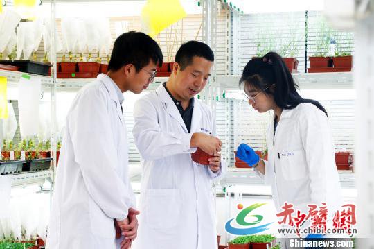 王鹏程指导学生 汤彦俊 摄 王鹏程指导学生 汤彦俊 摄