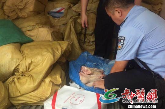 图为执法人员检查查获的涉案冻品 杨祖涛 摄 图为执法人员检查查获的涉案冻品 杨祖涛 摄