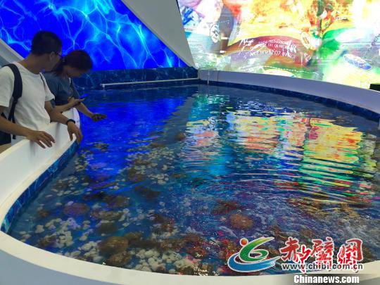 图为海洋牧场展示。 杨毅 摄 图为海洋牧场展示。 杨毅 摄