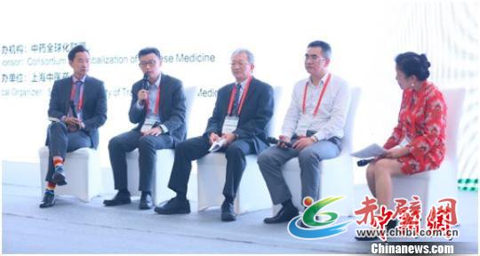 研讨会上,嘉宾们围绕学术界、政府和产业界的监管和区域间合作开展讨论。 芊烨 摄 研讨会上,嘉宾们围绕学术界、政府和产业界的监管和区域间合作开展讨论。 芊烨 摄